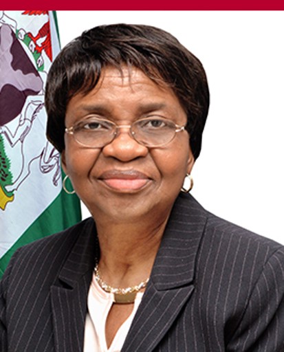 Market avatar for Will the NAFDAC DG be removed before November 13, 2026?