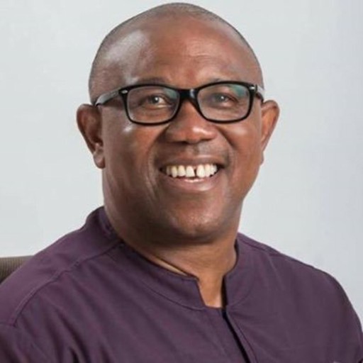 Market avatar for Will Peter Obi Record More Total Votes in 2027 Than in 2023?