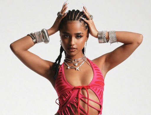 Will Tyla's December 2026 show in Nigeria be Cancelled?